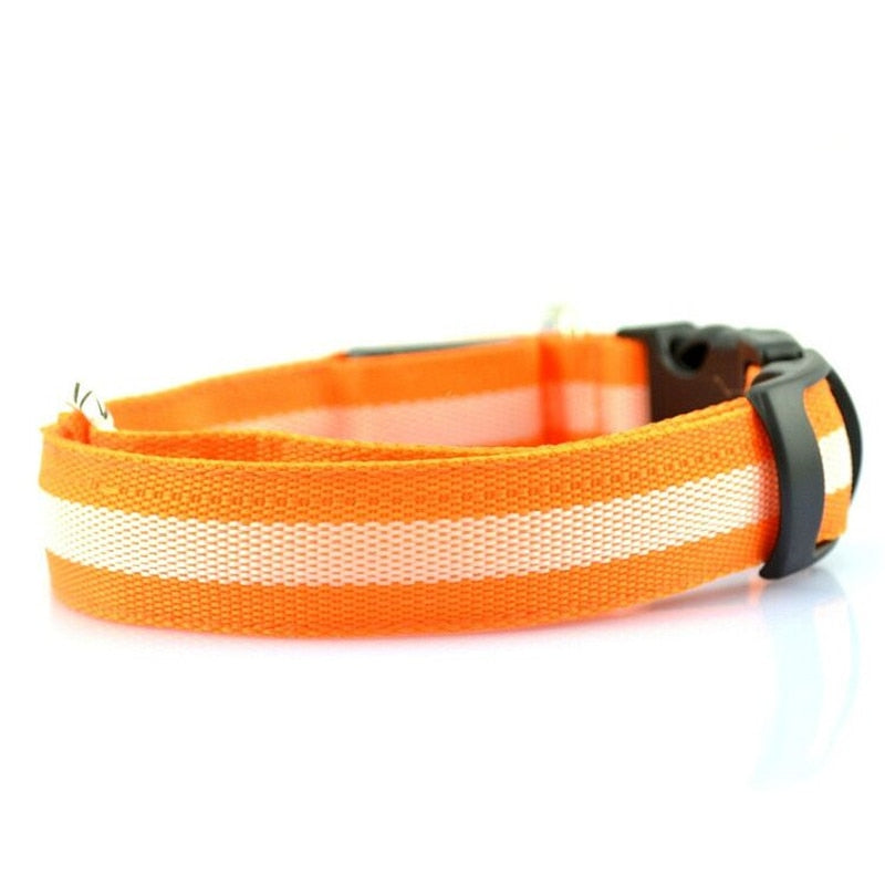 Collier lumineux LED en nylon pour chien et chat, clignotant pour une sécurité nocturne optimale, laisse ajustable. Accessoires pour animaux de compagnie.