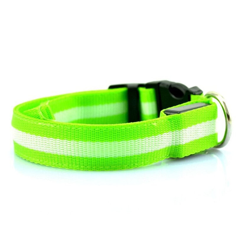 Collier lumineux LED en nylon pour chien et chat, clignotant pour une sécurité nocturne optimale, laisse ajustable. Accessoires pour animaux de compagnie.