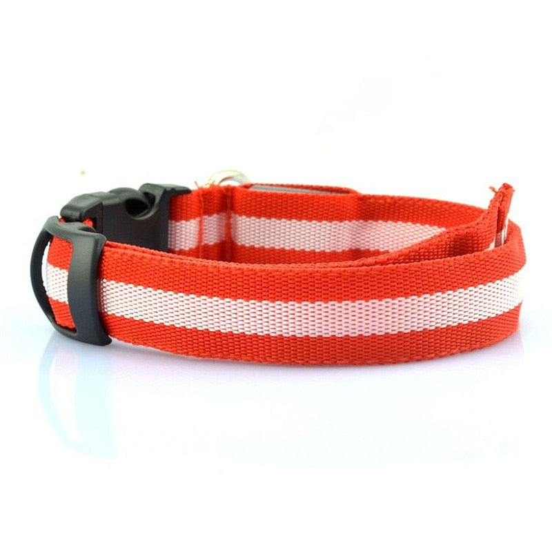 Collier lumineux LED en nylon pour chien et chat, clignotant pour une sécurité nocturne optimale, laisse ajustable. Accessoires pour animaux de compagnie.