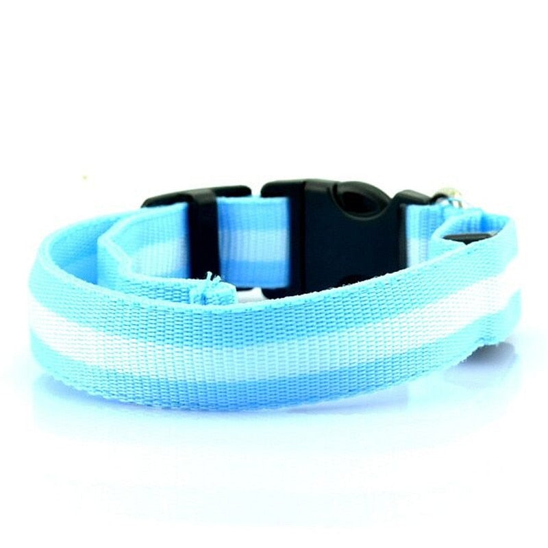 Collier lumineux LED en nylon pour chien et chat, clignotant pour une sécurité nocturne optimale, laisse ajustable. Accessoires pour animaux de compagnie.