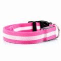 Collier lumineux LED en nylon pour chien et chat, clignotant pour une sécurité nocturne optimale, laisse ajustable. Accessoires pour animaux de compagnie.