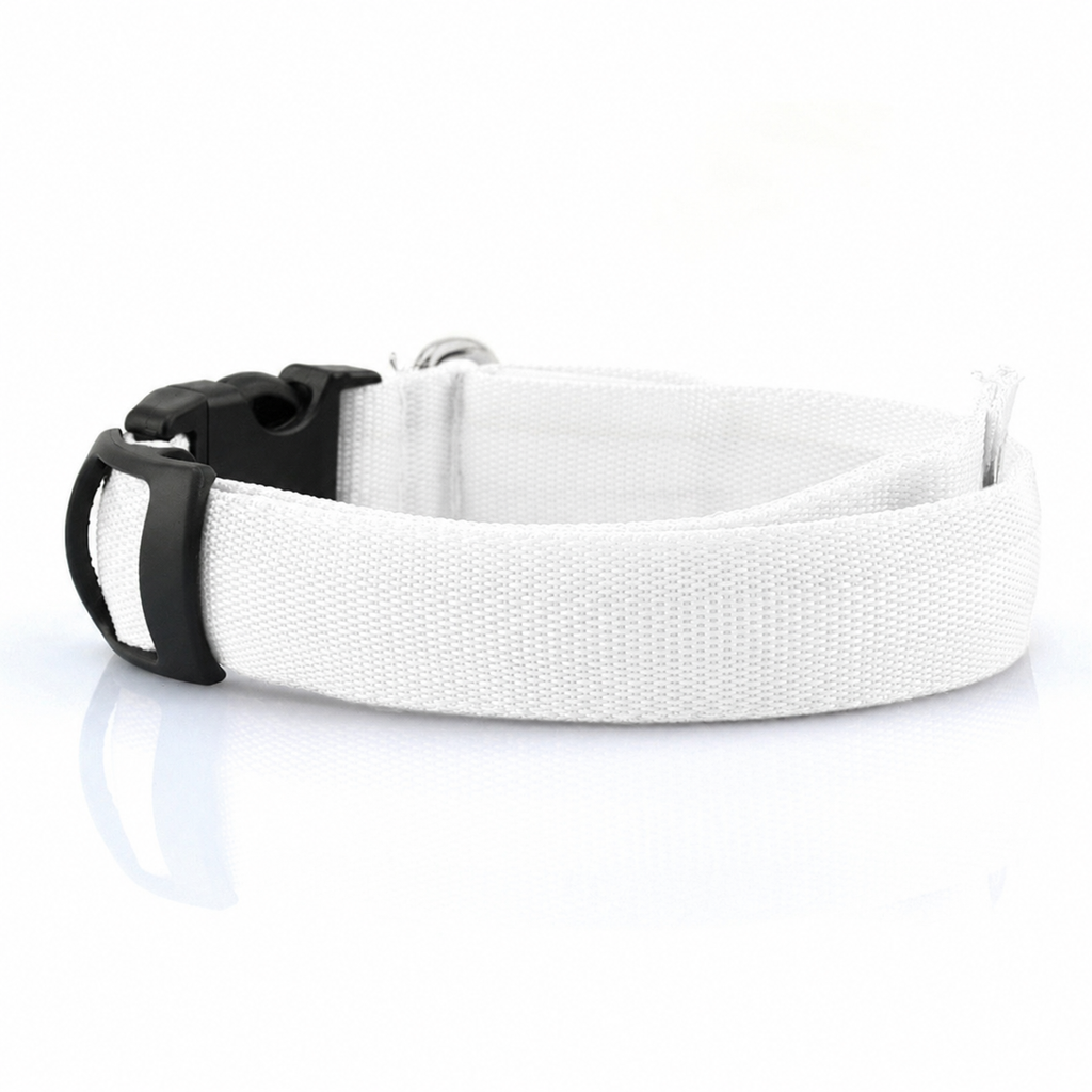 Collier lumineux LED en nylon pour chien et chat, clignotant pour une sécurité nocturne optimale, laisse ajustable. Accessoires pour animaux de compagnie.