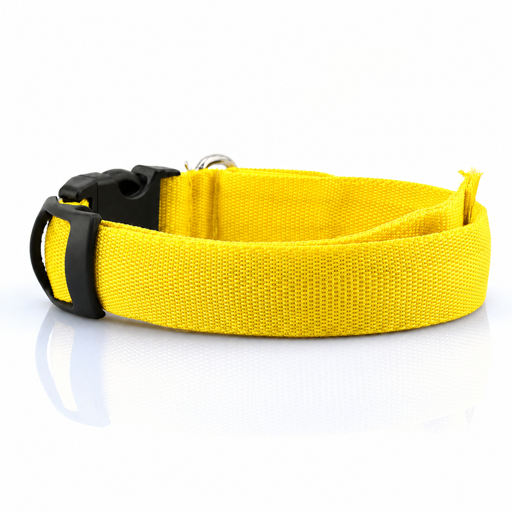 Collier lumineux LED en nylon pour chien et chat, clignotant pour une sécurité nocturne optimale, laisse ajustable. Accessoires pour animaux de compagnie.